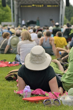 Outdoor concert of summer