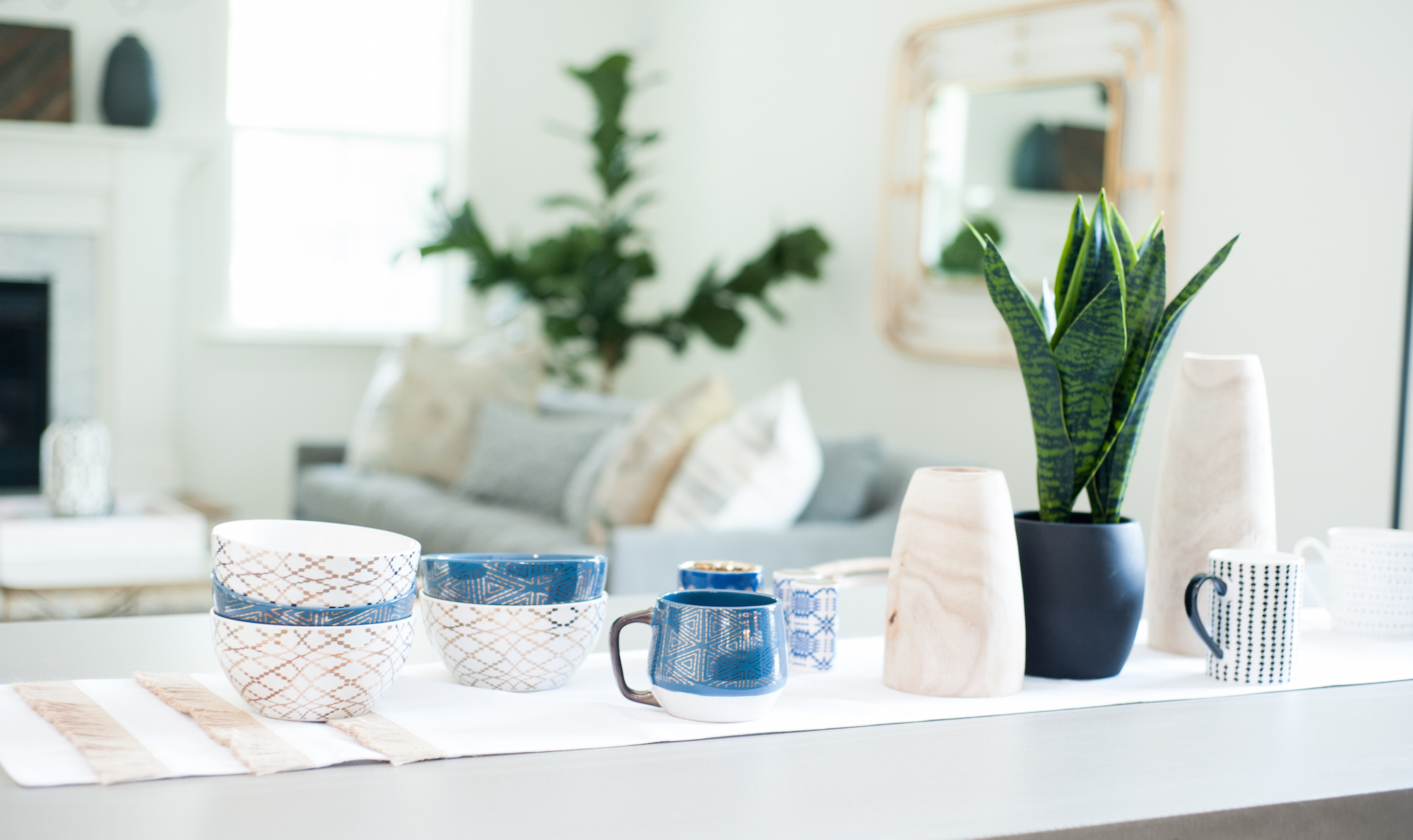 Crescent Homes - Indoors Plants Guide - Snake Plant