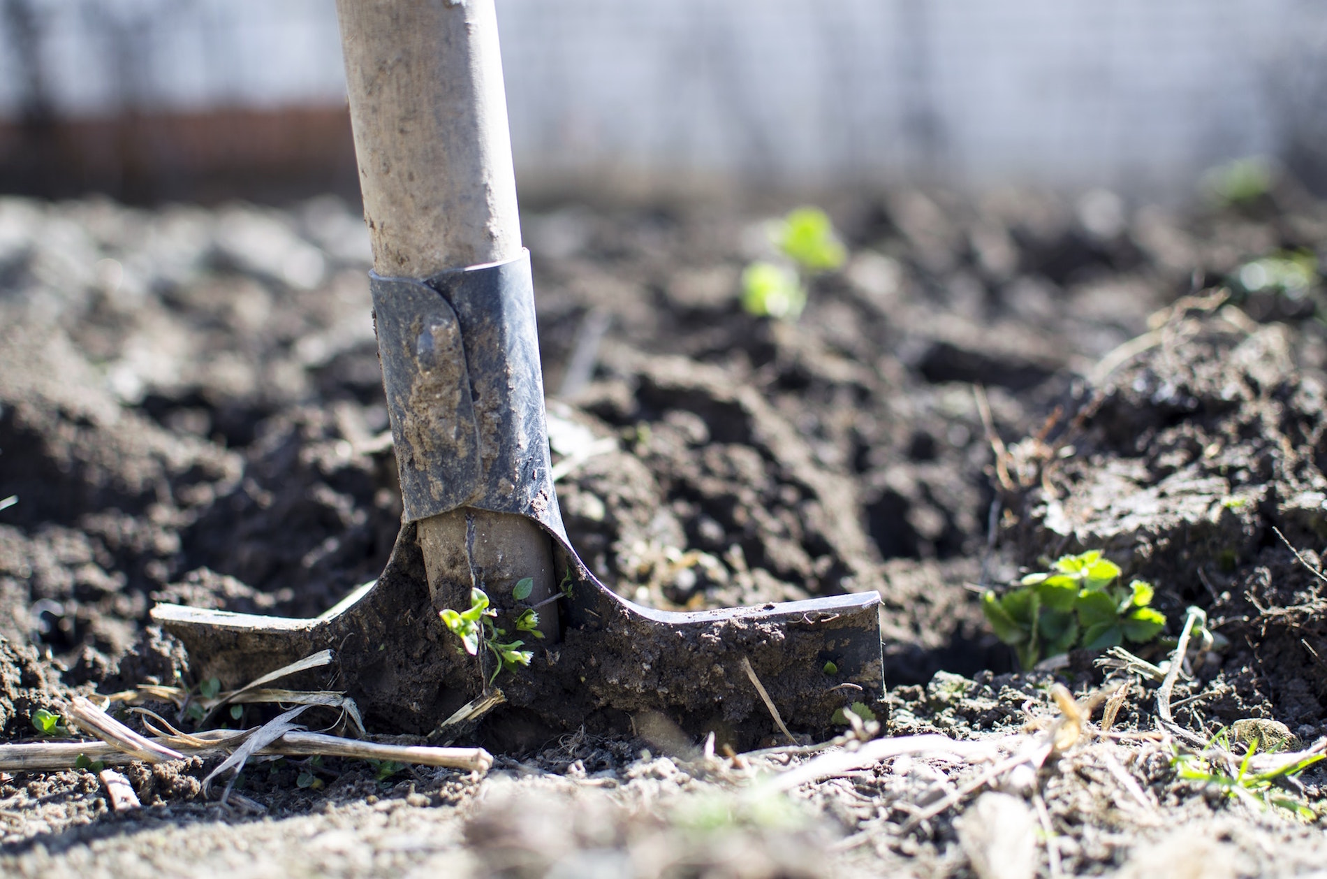 Crescent Homes Fall Gardening Tips: Clean Up Your Summer Garden